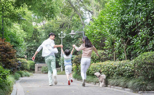 妻子和儿子谁有权继承遗产
